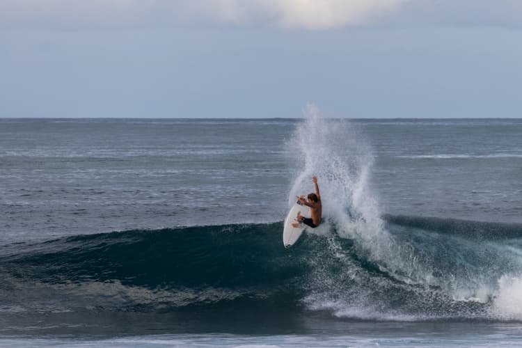 Surf