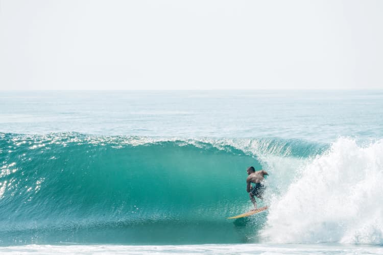 Surf